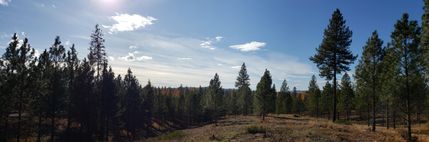 Property in Spokane County, Washington