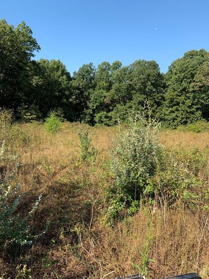 Property in Lawrence County, Tennessee