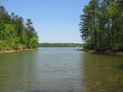 Property in Lincoln County, Georgia