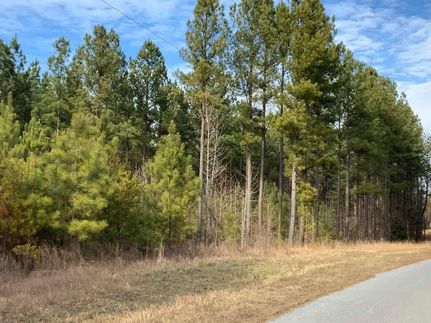 Property in Halifax County, Virginia