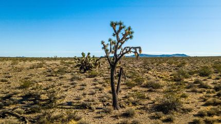 Property in Mohave County, Arizona
