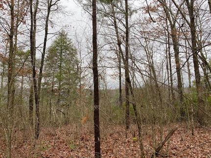 Property in Marion County, Tennessee
