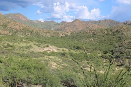 Property for sale in Santa Cruz County, Arizona