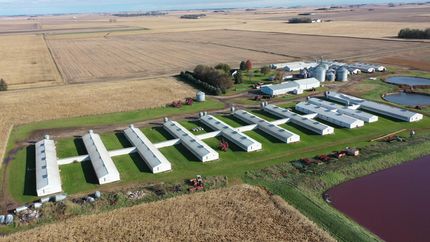 Property in Buena Vista County, Iowa