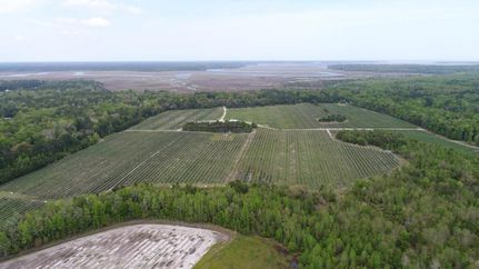 Property in McIntosh County, Georgia