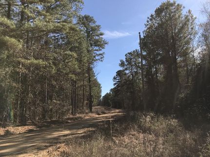 Property in Dallas County, Arkansas