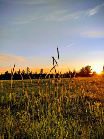 Property in Lincoln County, Washington