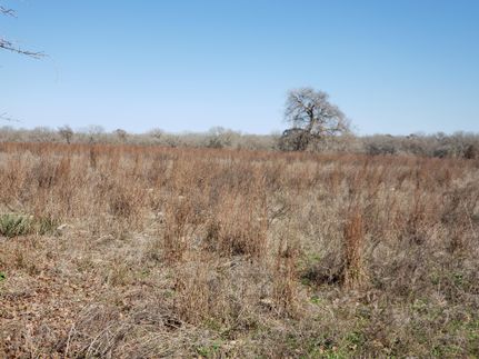 Property in Wilson County, Texas
