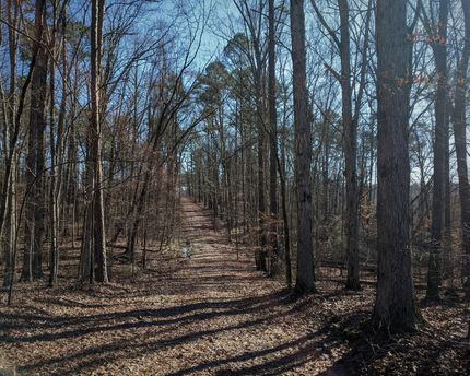 Property in Morgan County, Alabama