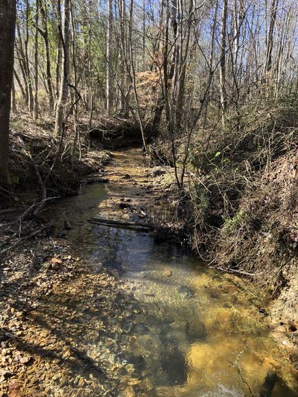 Property in Clay County, Alabama