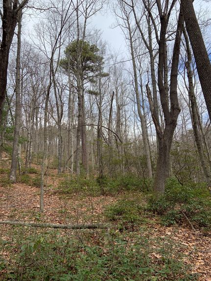 Property in Patrick County, Virginia