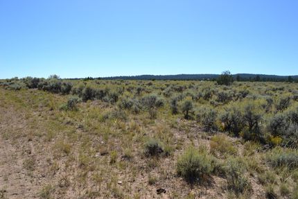 Property in Taos County, New Mexico