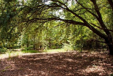 Property in Bamberg County, South Carolina