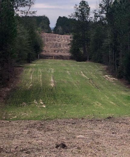 Property in Choctaw County, Alabama