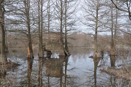 Property in Shelby County, Tennessee