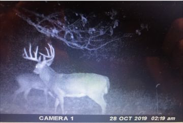 Property in Ringgold County, Iowa