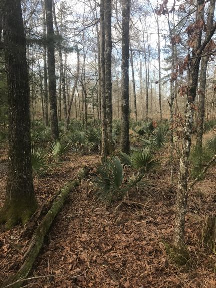 Property in Lauderdale County, Mississippi