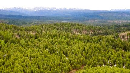 Property in Valley County, Idaho