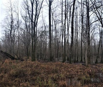 Property in Dallas County, Arkansas