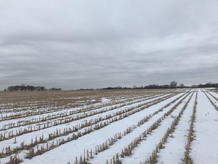 Property in Clay County, Iowa