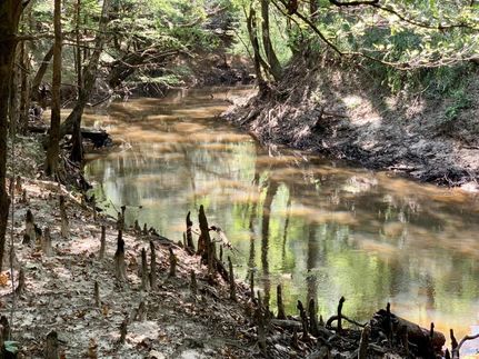 Property in Washington County, Alabama