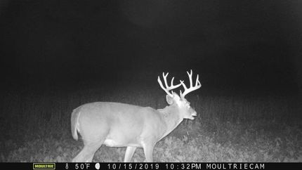 Property in Jefferson County, Illinois