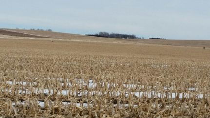 Property in Cedar County, Nebraska