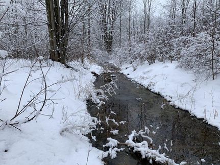 Property in Chautauqua County, New York