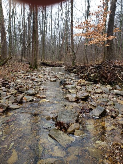 Property in Greene County, Indiana