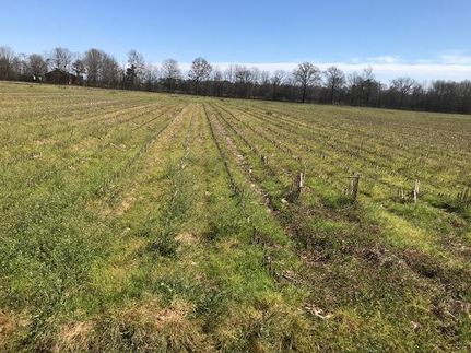 Property for sale in Franklin Parish, Louisiana