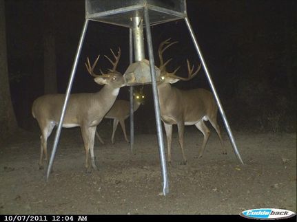 Property in Grenada County, Mississippi