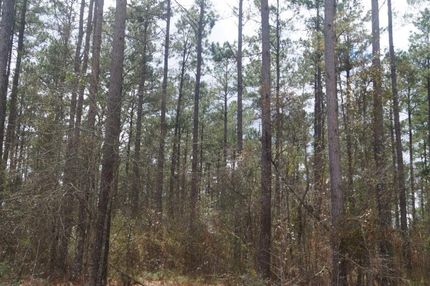 Property in Lincoln County, Mississippi