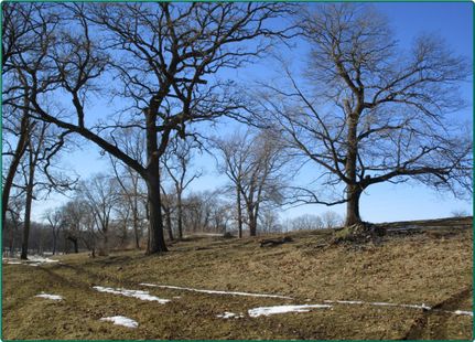 Property in Linn County, Iowa