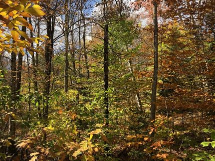 Property in Lewis County, New York