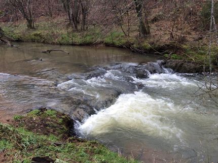Property in Bartow County, Georgia