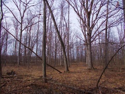 Property in Saint Clair County, Michigan