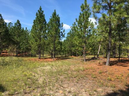 Property in Lexington County, South Carolina