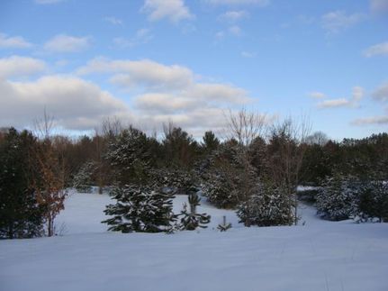 Property in Kalkaska County, Michigan