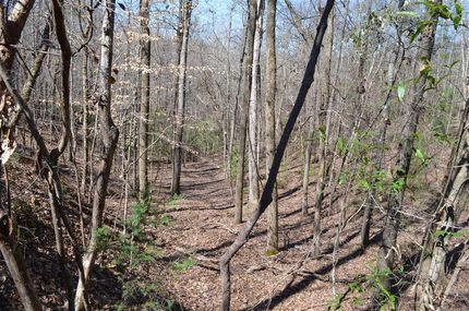 Property in Butler County, Alabama