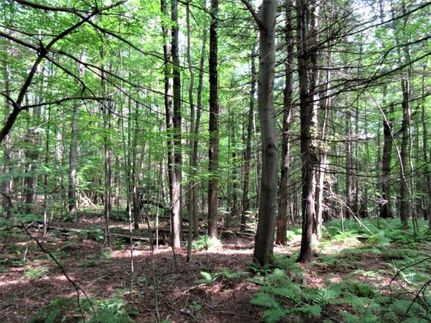 Property in Saratoga County, New York