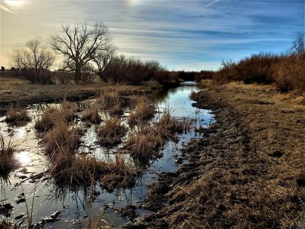 Property in Union County, New Mexico