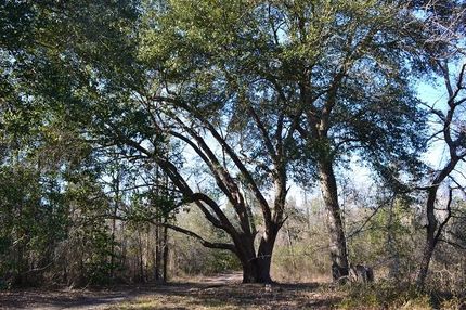Property in Wheeler County, Georgia