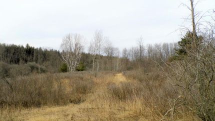 Property in Sanilac County, Michigan