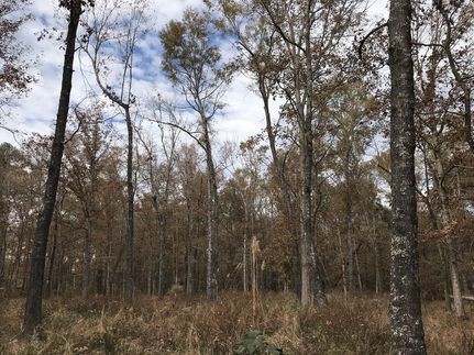 Property in Nevada County, Arkansas