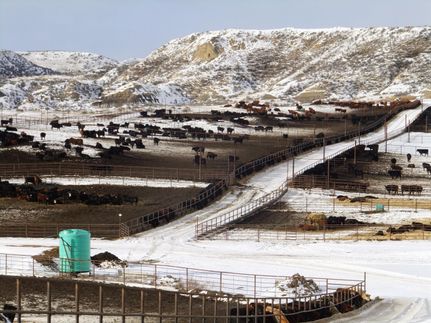 Property in Custer County, Montana