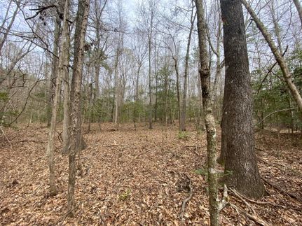 Property in Sumter County, Alabama