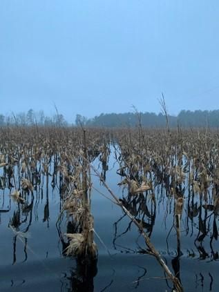 Property in Florence County, South Carolina