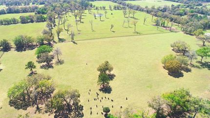 Farm Property for sale in Marion County, Florida