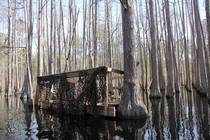 Property in Early County, Georgia