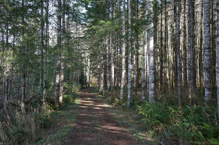 Property in Clackamas County, Oregon